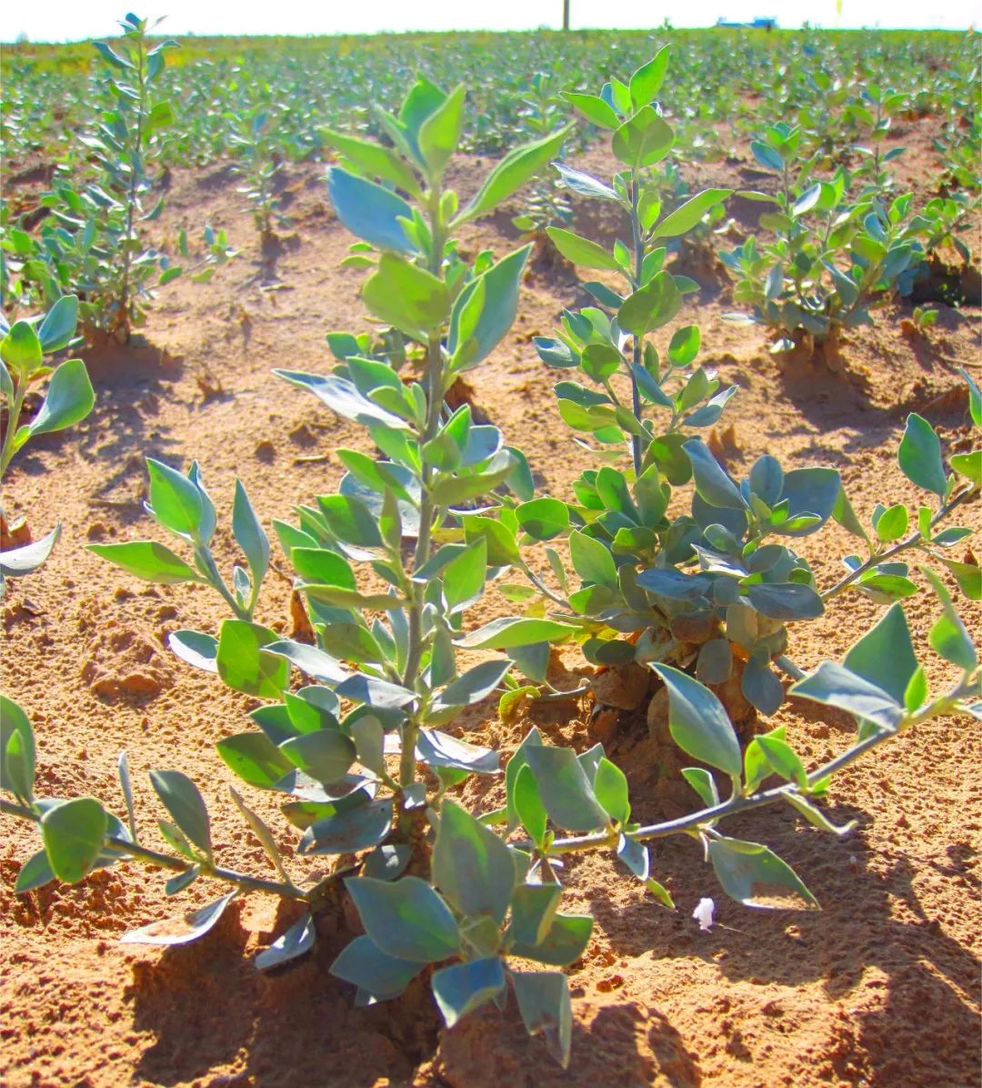 20240415/086ef28960f7ce82687e5d241ff86401.jpg 20240415/086ef28960f7ce82687e5d241ff86401.jpg