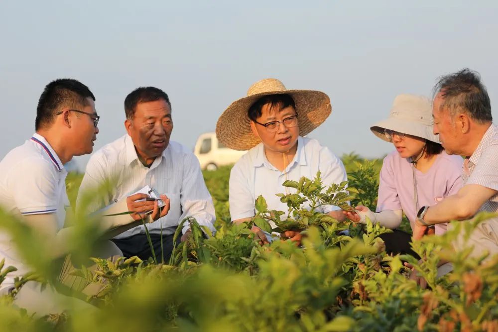 20240430/6d5ce8d0ddb8b8809eb9c9ae70ac4244.jpg 20240430/6d5ce8d0ddb8b8809eb9c9ae70ac4244.jpg