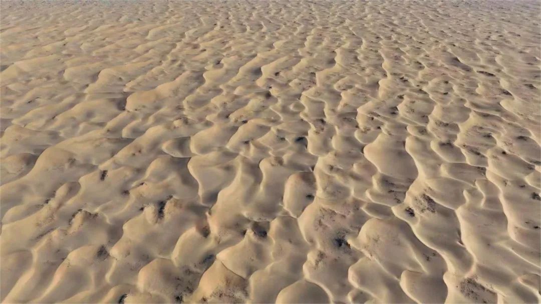 20240430/9250f6c0a16aec248bf4ea66a8c07e77.jpg 20240430/9250f6c0a16aec248bf4ea66a8c07e77.jpg