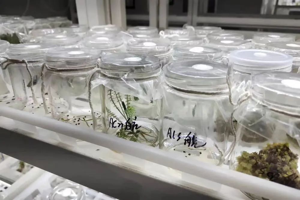 20240430/c786cb921128cb770719b72ed7e2f258.jpg 20240430/c786cb921128cb770719b72ed7e2f258.jpg