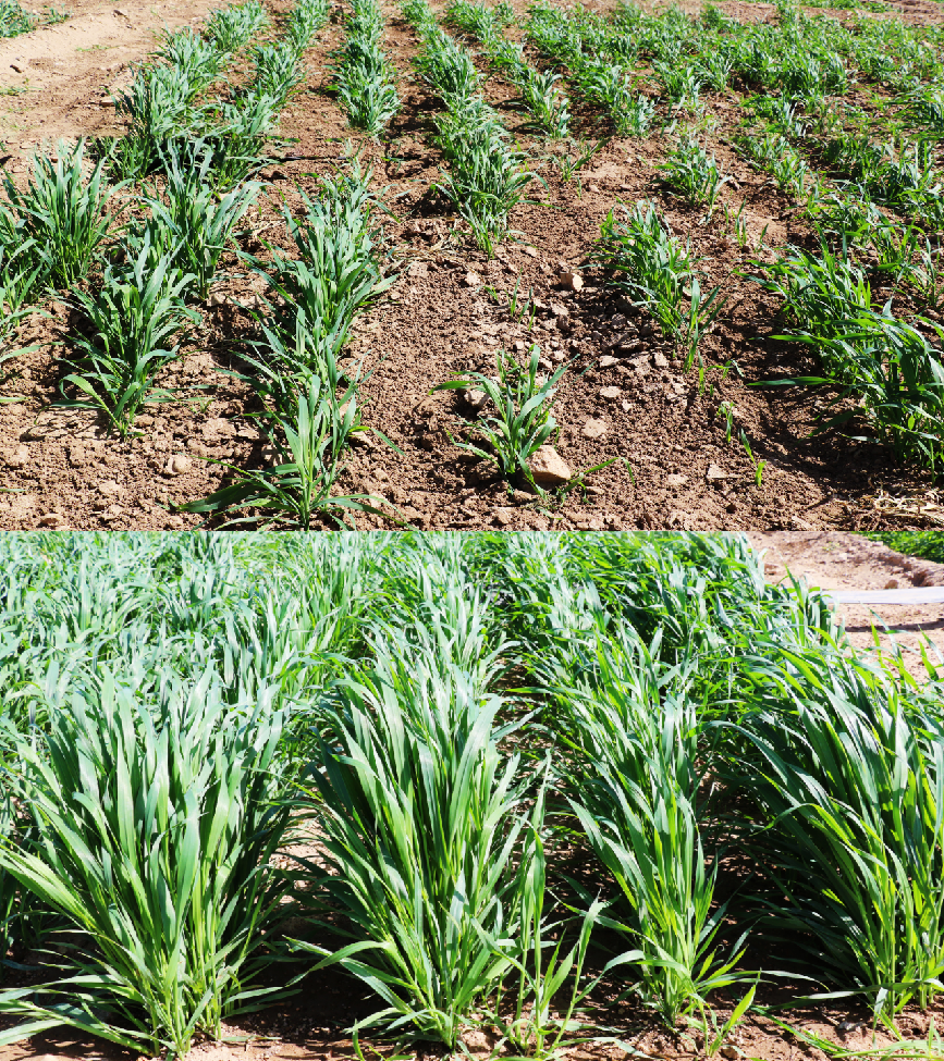 20240710/20c424c60fbe7d94b756c55df7665c7f.png 20240710/20c424c60fbe7d94b756c55df7665c7f.png