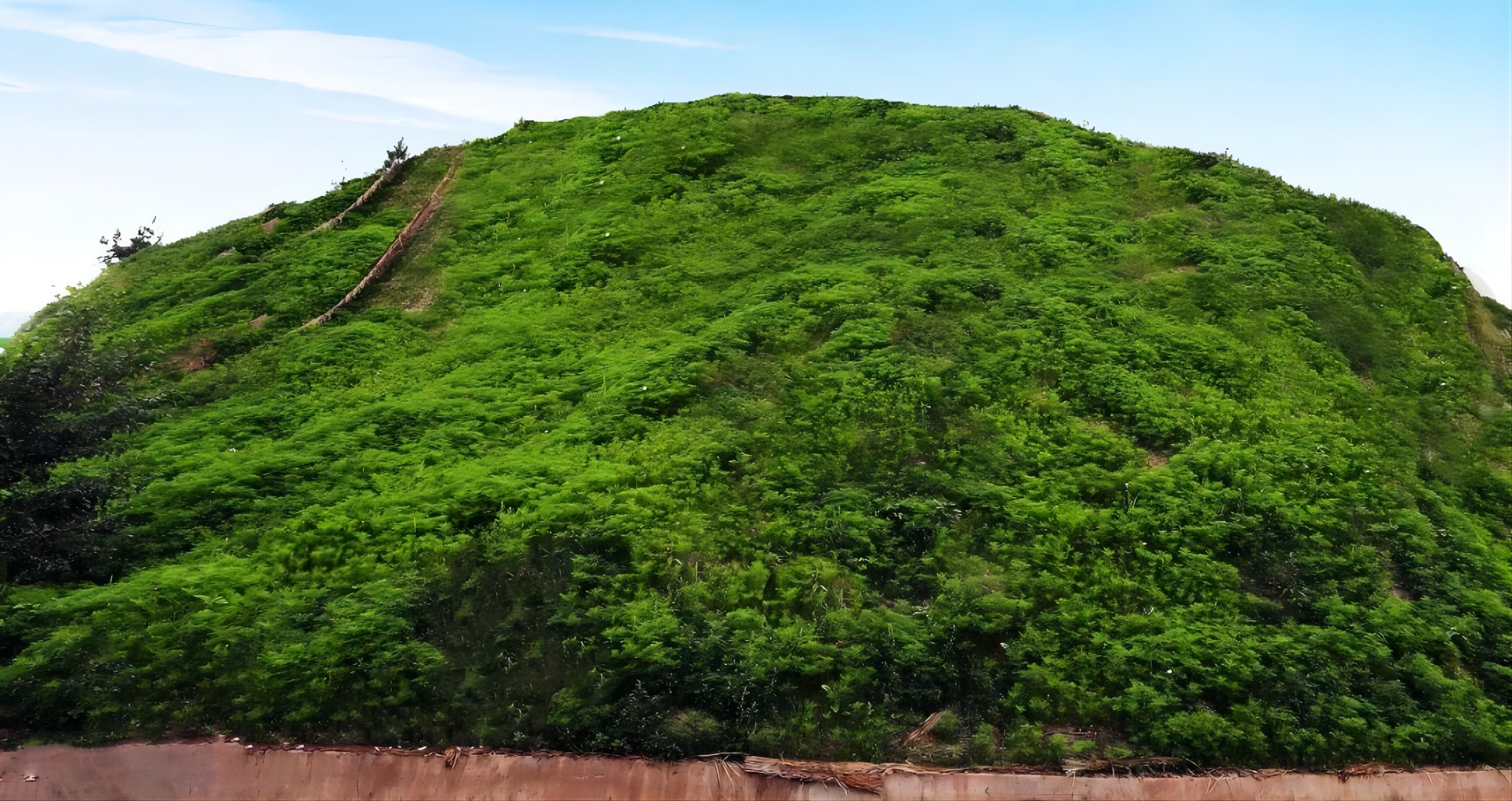 20240710/f7429cec265ca876d329042d3be7824c.jpg 20240710/f7429cec265ca876d329042d3be7824c.jpg