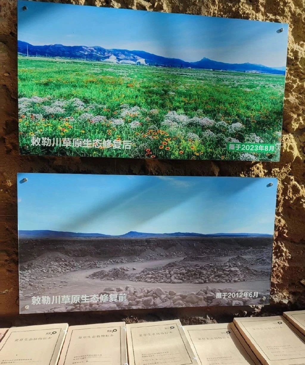 20241202/1ba464914fdb1f172c2ad4eadcb4d5cd.jpg 20241202/1ba464914fdb1f172c2ad4eadcb4d5cd.jpg