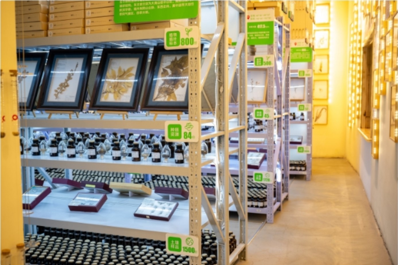 20241202/ff2fe57f80acfa8fcb926b07a2e2a498.jpg 20241202/ff2fe57f80acfa8fcb926b07a2e2a498.jpg