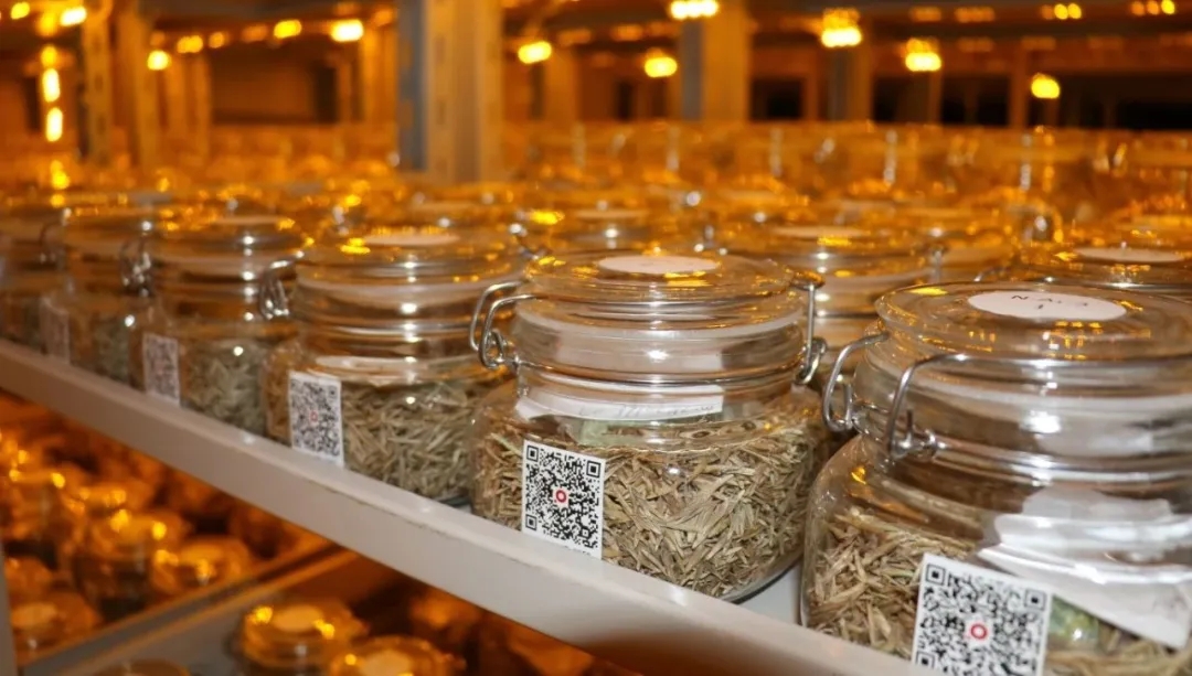 20250225/bf000a6390b1525001c24ab8840dd69e.jpg 20250225/bf000a6390b1525001c24ab8840dd69e.jpg