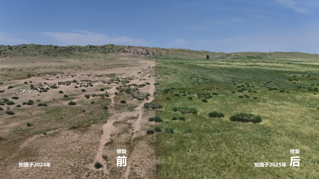 20250908/3c8ecef9c11d4e8c3cbd39eb694fbb01.png 20250908/3c8ecef9c11d4e8c3cbd39eb694fbb01.png