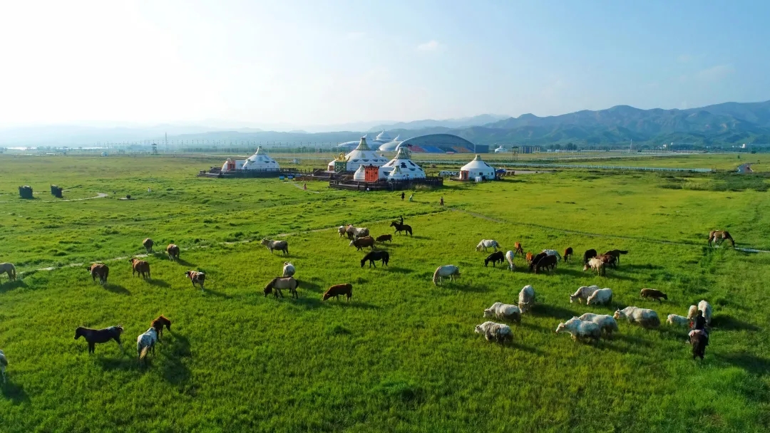 20250908/ca37cdcbbd2cb61797007c2cc174cdf1.jpg 20250908/ca37cdcbbd2cb61797007c2cc174cdf1.jpg