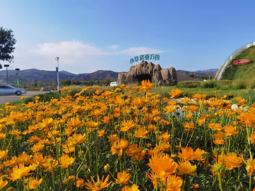 20250908/e8edff394e7f0debf1504bb563ae28b3.jpg 20250908/e8edff394e7f0debf1504bb563ae28b3.jpg