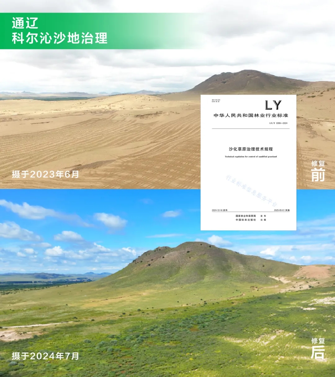 20251119/180ef39764c9ce8e06e06159f9b36ce2.jpg 20251119/180ef39764c9ce8e06e06159f9b36ce2.jpg