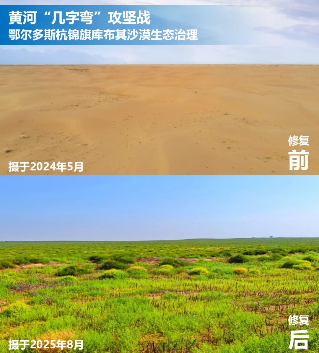 20251119/d3598b89227b8cfdad4c3357ea34cea9.jpg 20251119/d3598b89227b8cfdad4c3357ea34cea9.jpg